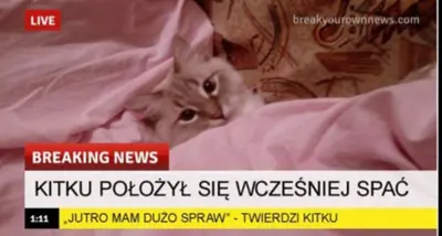 Media