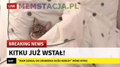 Media