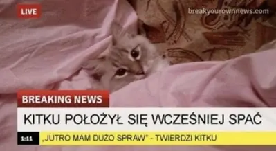 Media thumbnail