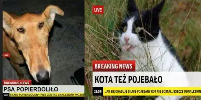 Media