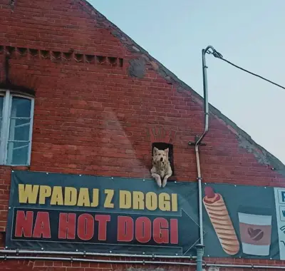 Media