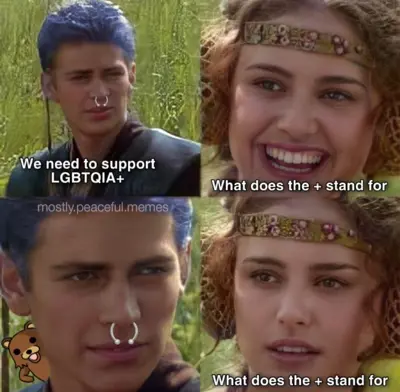Media