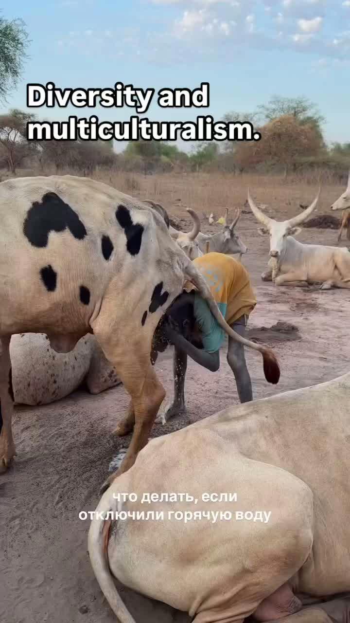 Media