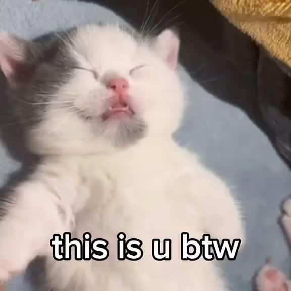 brakpliku