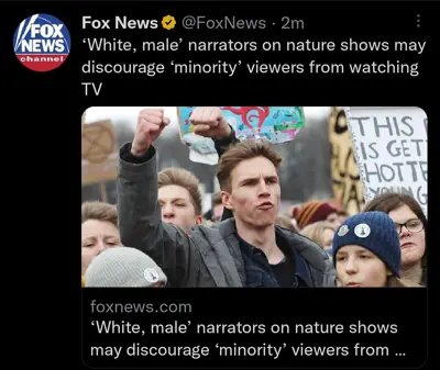 Media